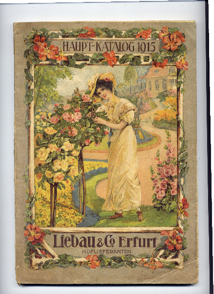 Haupt-Katalot antik "Liebau & Co. Erfurt" 1915